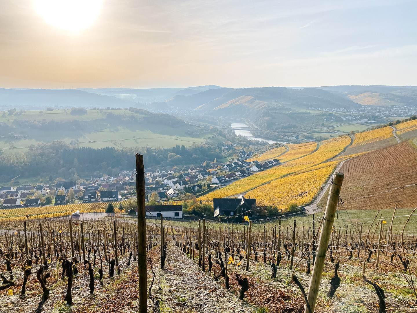 Eine friedliche Weinberglandschaft mit sanften Hügeln, üppigen Weinreben und einem sanften Abendrot im Hintergrund.